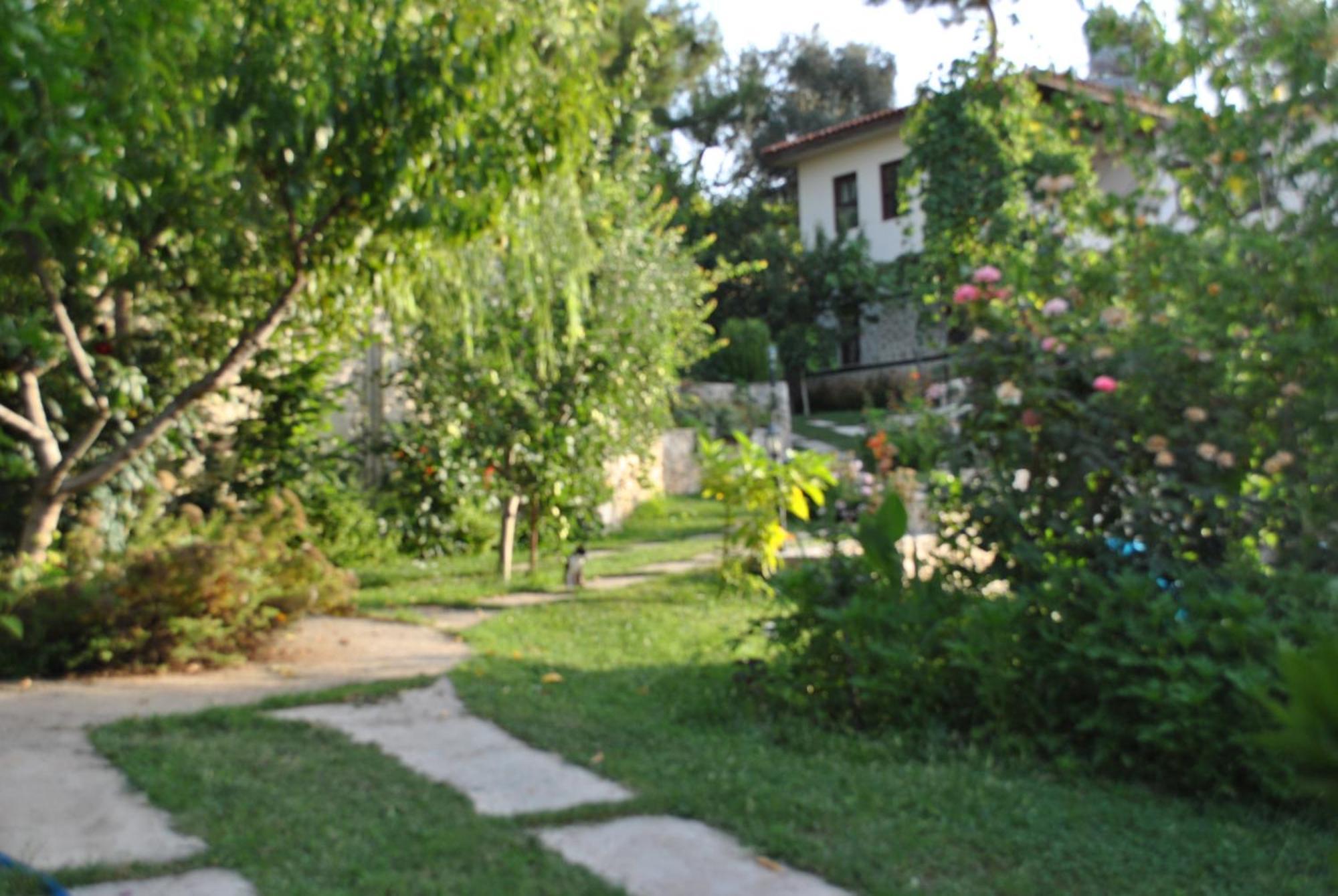 Kleo Cottages كالكان المظهر الخارجي الصورة
