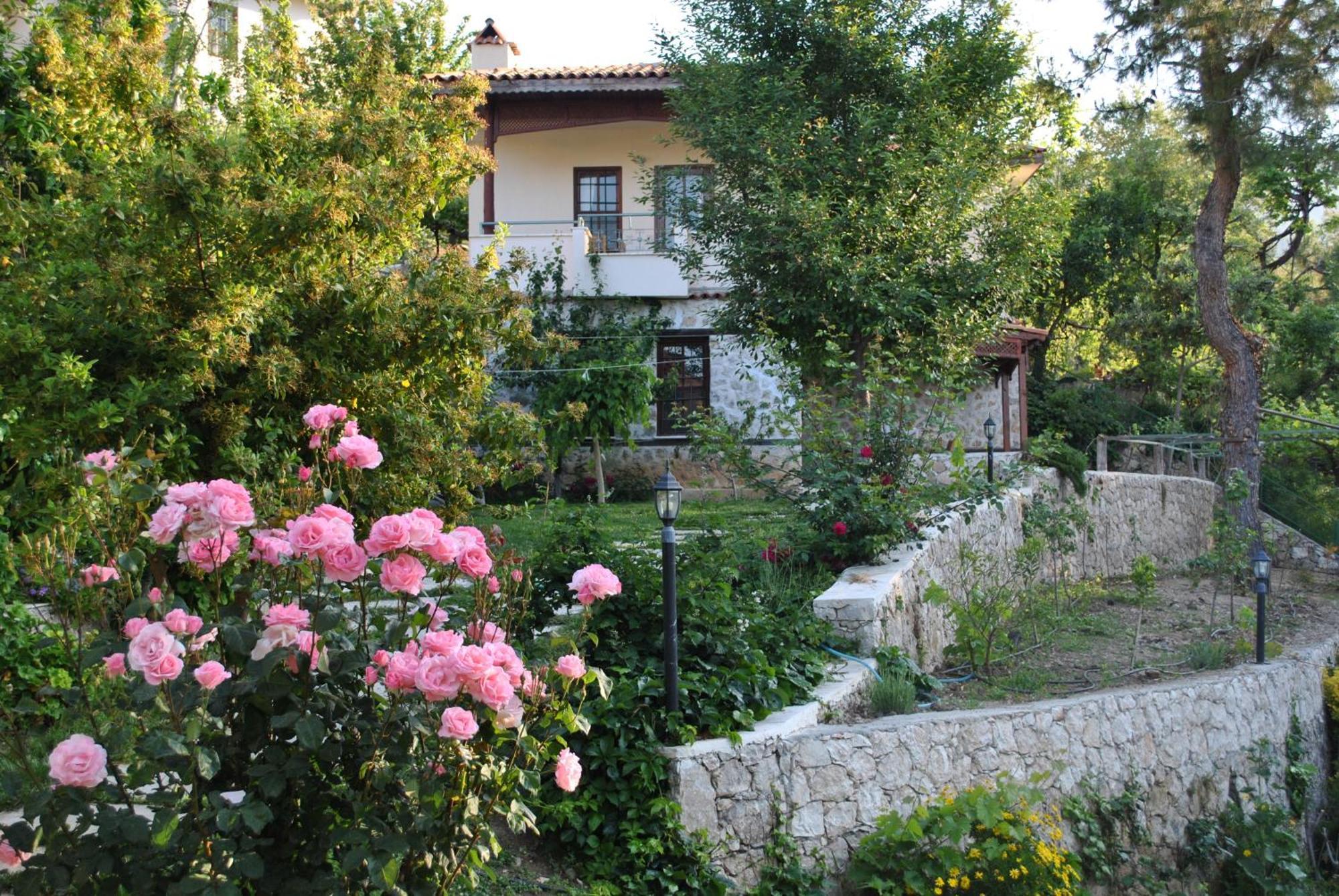 Kleo Cottages كالكان المظهر الخارجي الصورة